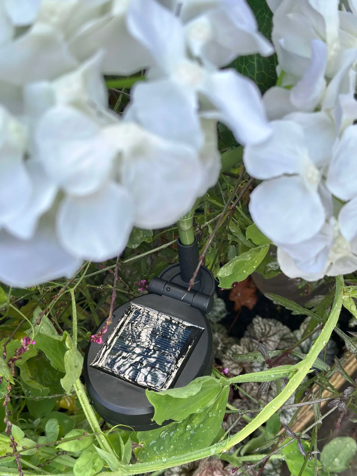 VIAMAJA Lys Og Led|Udendørs Led<Hortensia med solceller - Hvid