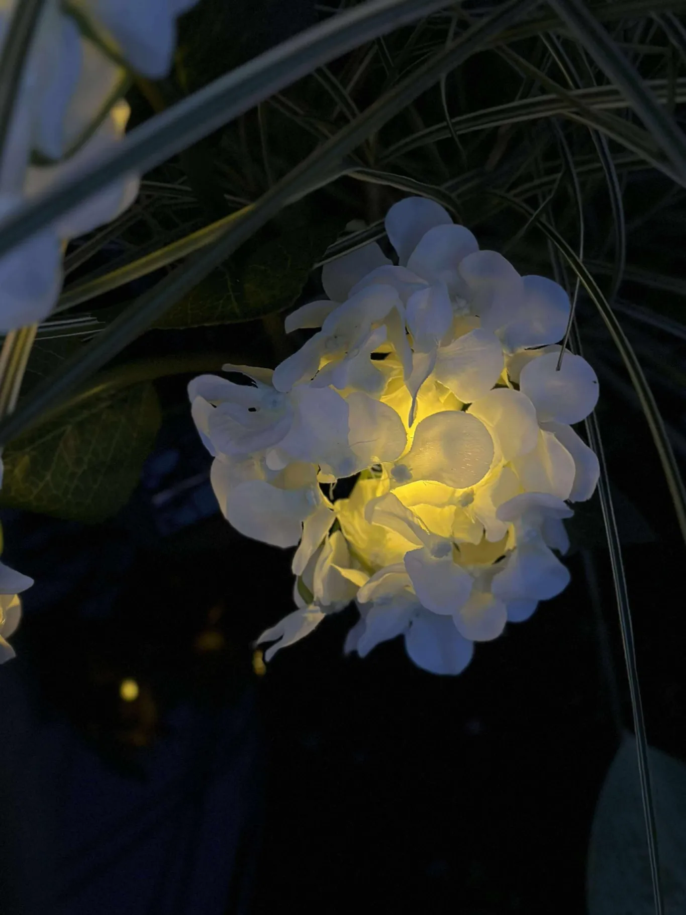 VIAMAJA Lys Og Led|Udendørs Led<Hortensia med solceller - Hvid