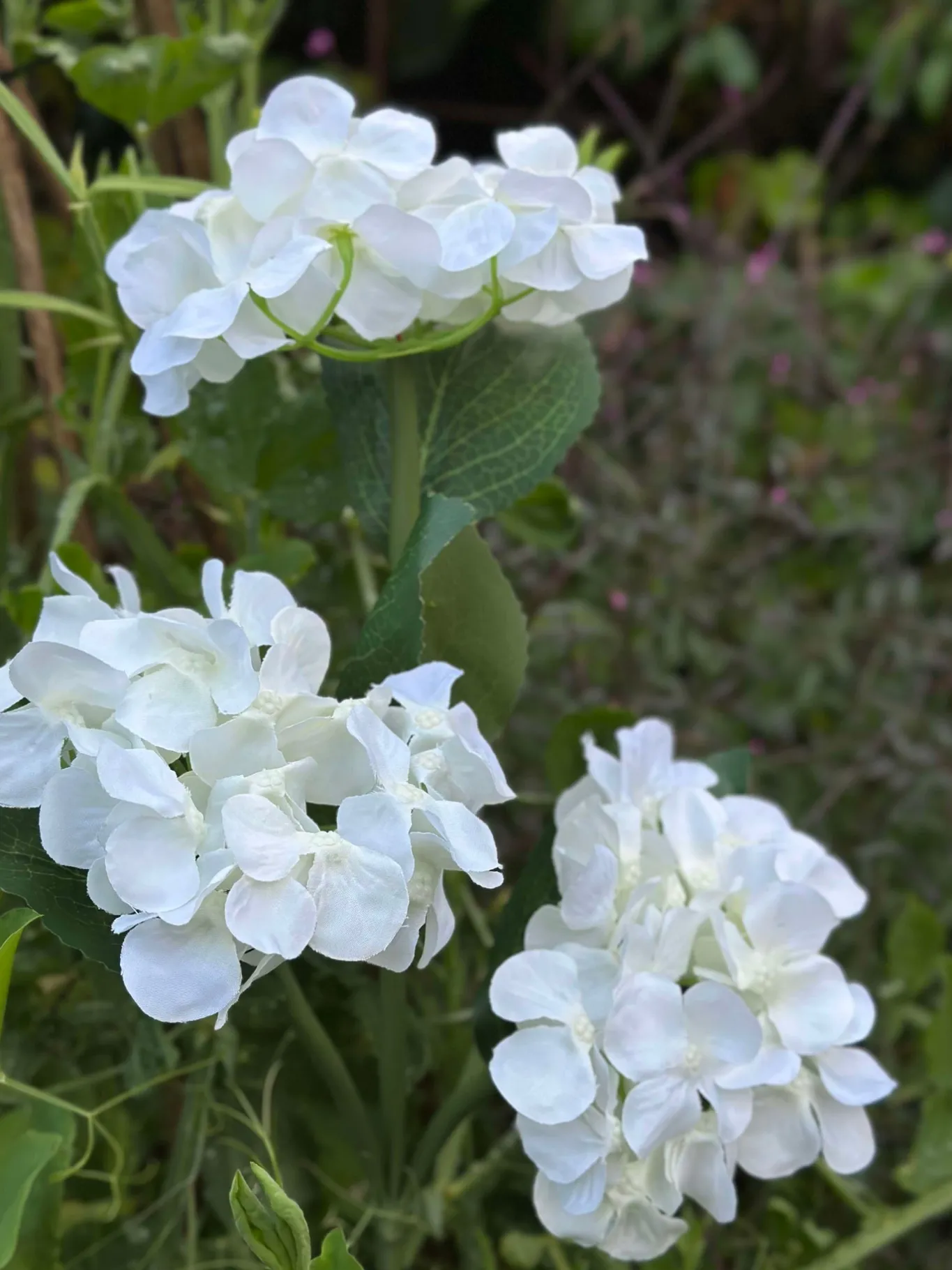 VIAMAJA Lys Og Led|Udendørs Led<Hortensia med solceller - Hvid