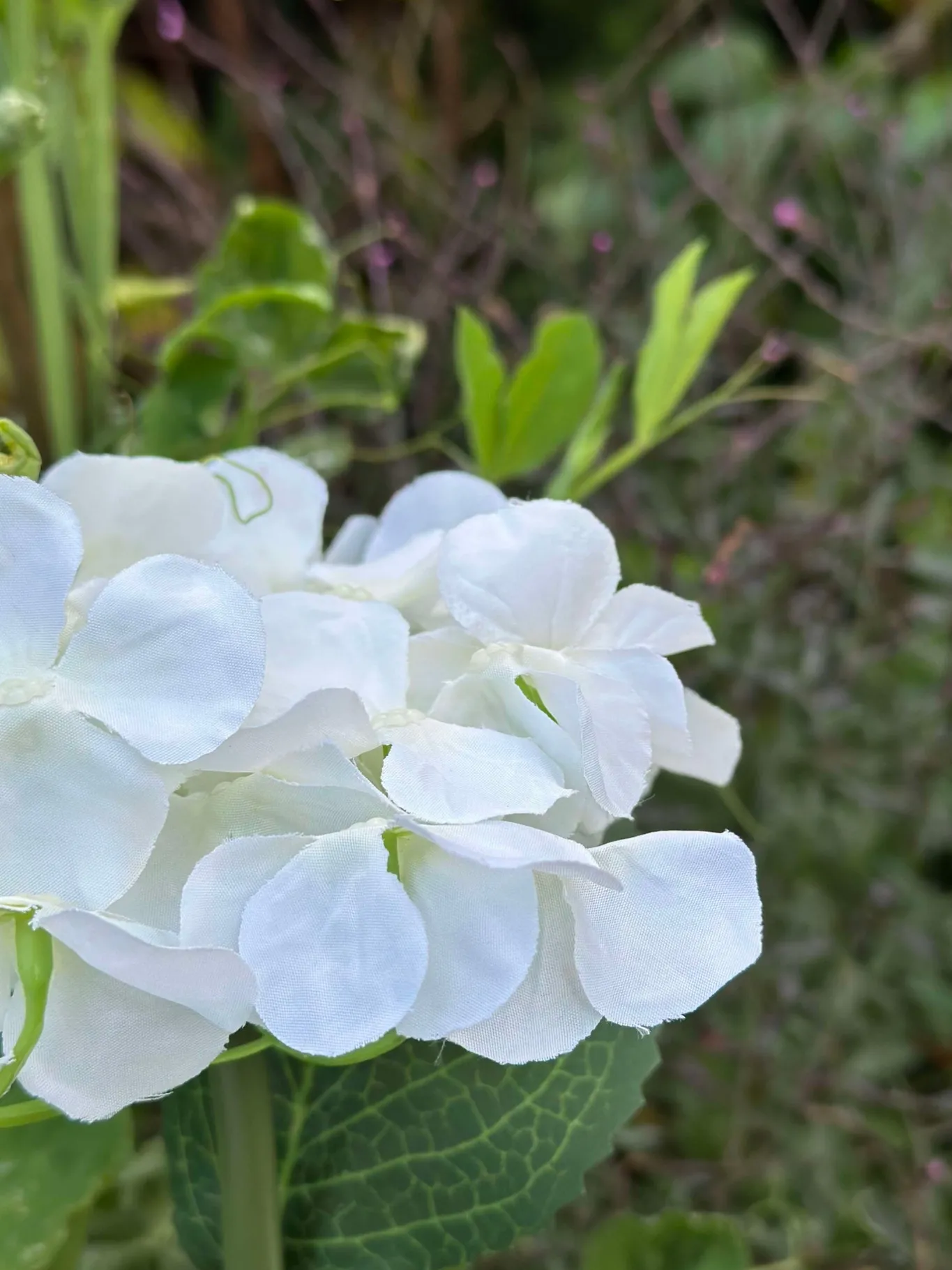 VIAMAJA Lys Og Led|Udendørs Led<Hortensia med solceller - Hvid