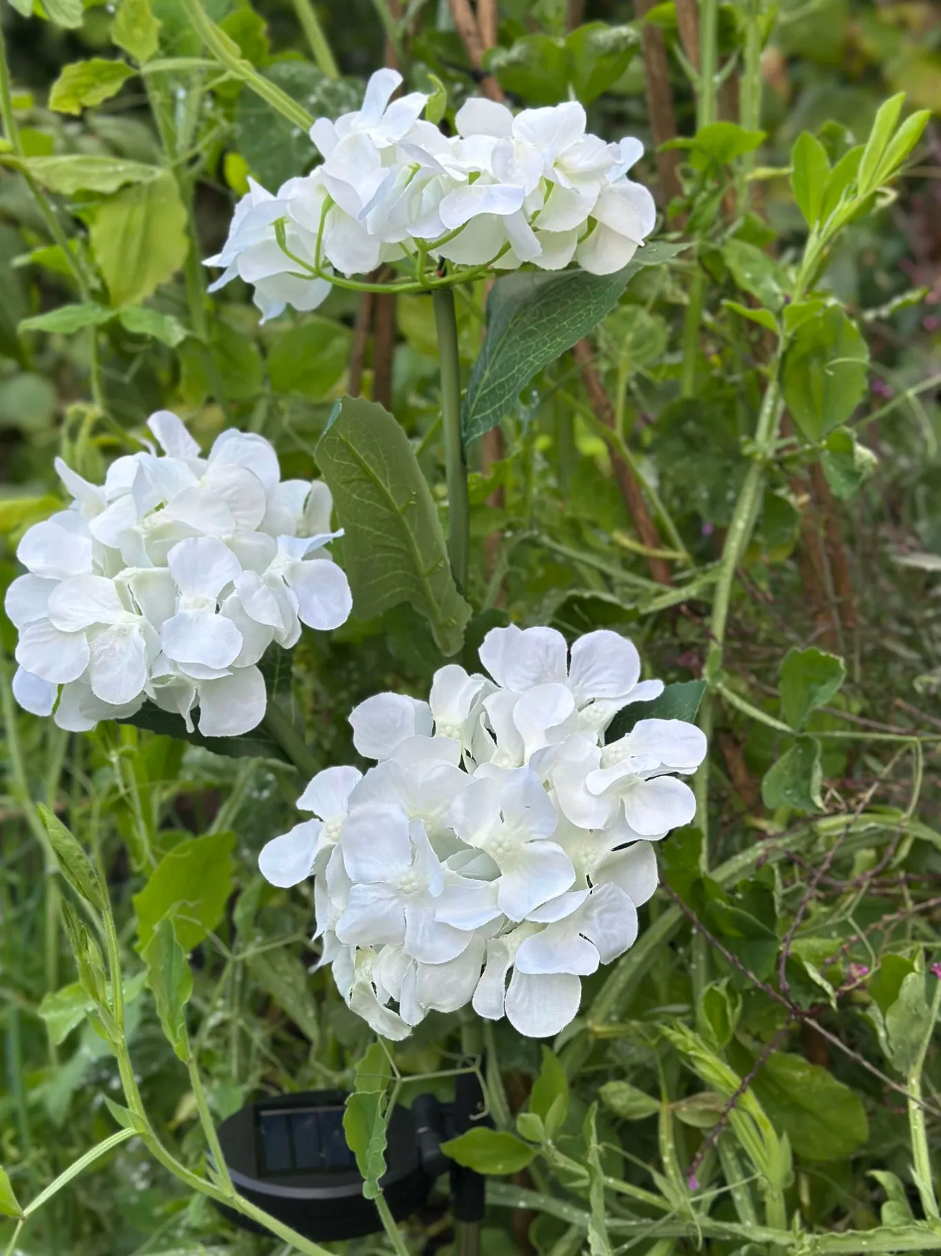 VIAMAJA Lys Og Led|Udendørs Led<Hortensia med solceller - Hvid