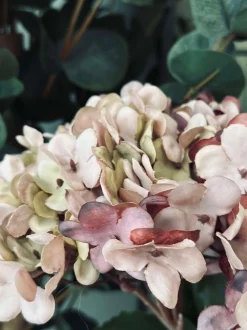 VIAMAJA Blomster<Hortensia Old Rose