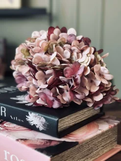 VIAMAJA Blomster<Hortensia Old Rose