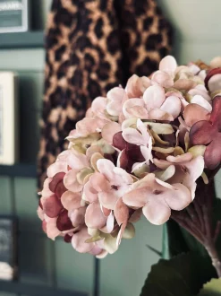 VIAMAJA Blomster<Hortensia Old Rose