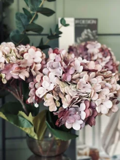 VIAMAJA Blomster<Hortensia Old Rose