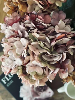 VIAMAJA Blomster<Hortensia Old Rose
