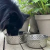 VIAMAJA Hund<Hundeskål Rustfrit stål - Mellem