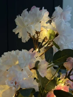 VIAMAJA Blomster<Kirsebærgren med lys - Rosa / hvid