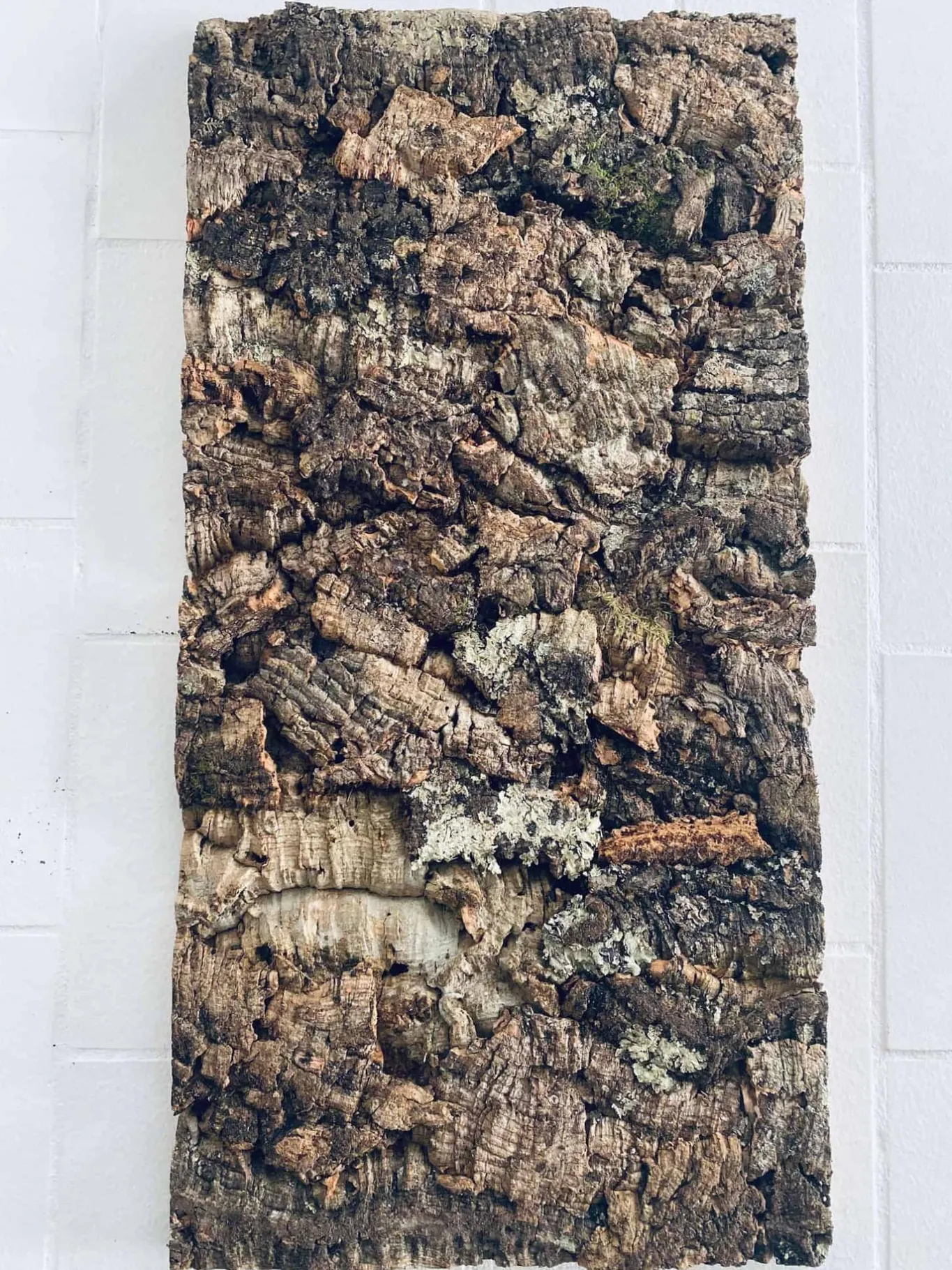 VIAMAJA Korkplader|Diverse Kork<Korkplade deluxe 30×60 – Nature virgin