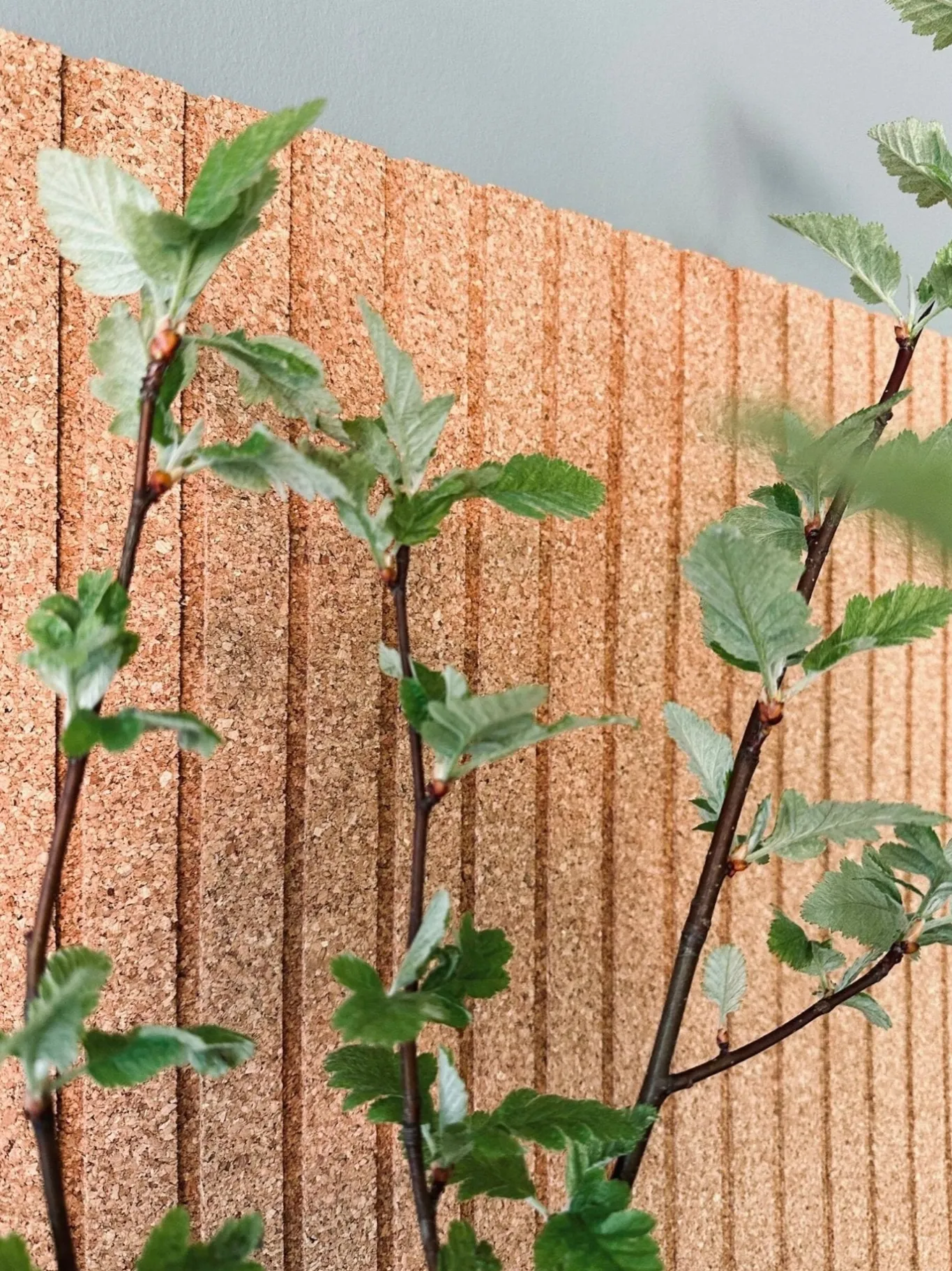 VIAMAJA Korkplader<Korkplade Natur m. Panel effekt – Støjdæmpende