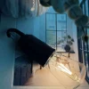VIAMAJA Lamper|Led Genopladelige<Lampe genopladelig