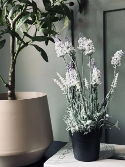 VIAMAJA Blomster<Lavendel 40cm - Hvid