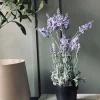 VIAMAJA Blomster<Lavendel 40cm - Lys lilla