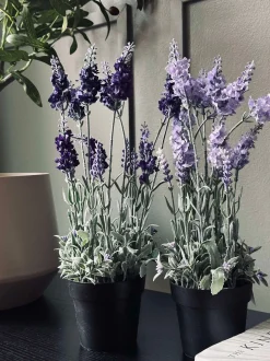 VIAMAJA Blomster<Lavendel 40cm - Lys lilla