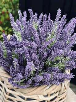 VIAMAJA Blomster<Lavendel på stilk