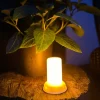 VIAMAJA Lys Og Led|Udendørs Led<LED Flame – God til lanterner og græskar