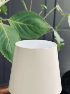 VIAMAJA Lys Og Led|Led Lamper<LED lampe til vinflaske - Creme MIX