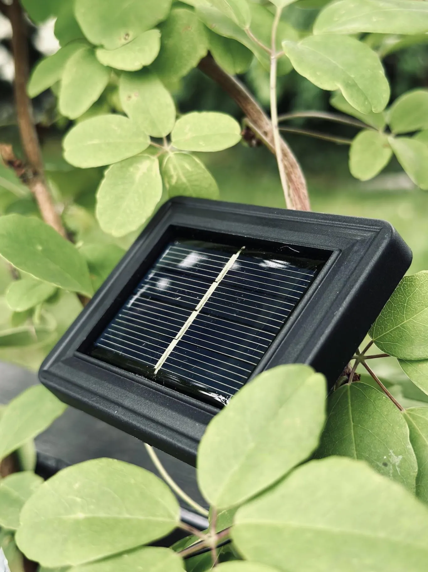 VIAMAJA Lys Og Led|Udendørs Led<LED Lyskæde med solceller - Udendørs med 10 pære