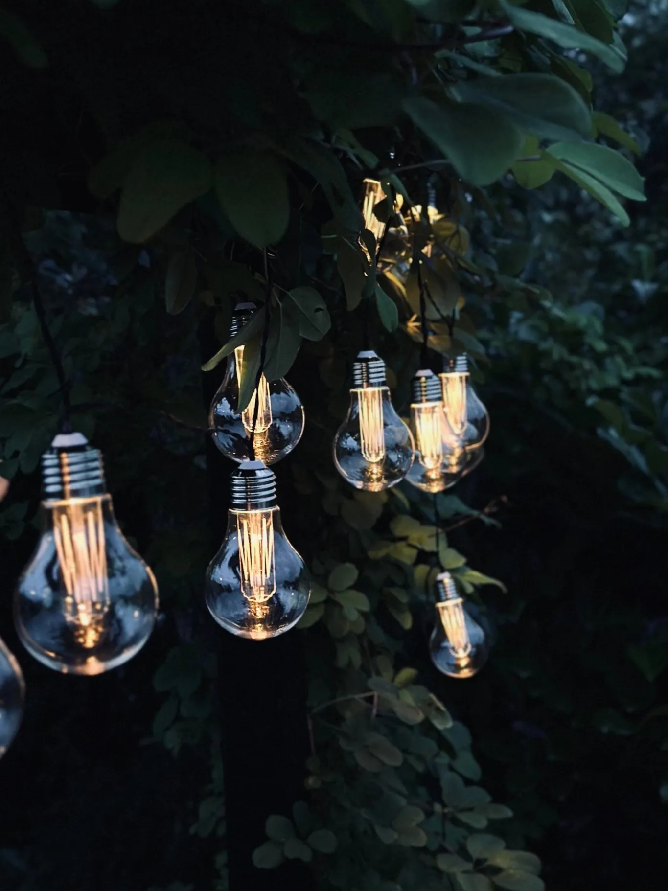 VIAMAJA Lys Og Led|Udendørs Led<LED Lyskæde med solceller - Udendørs med 10 pære