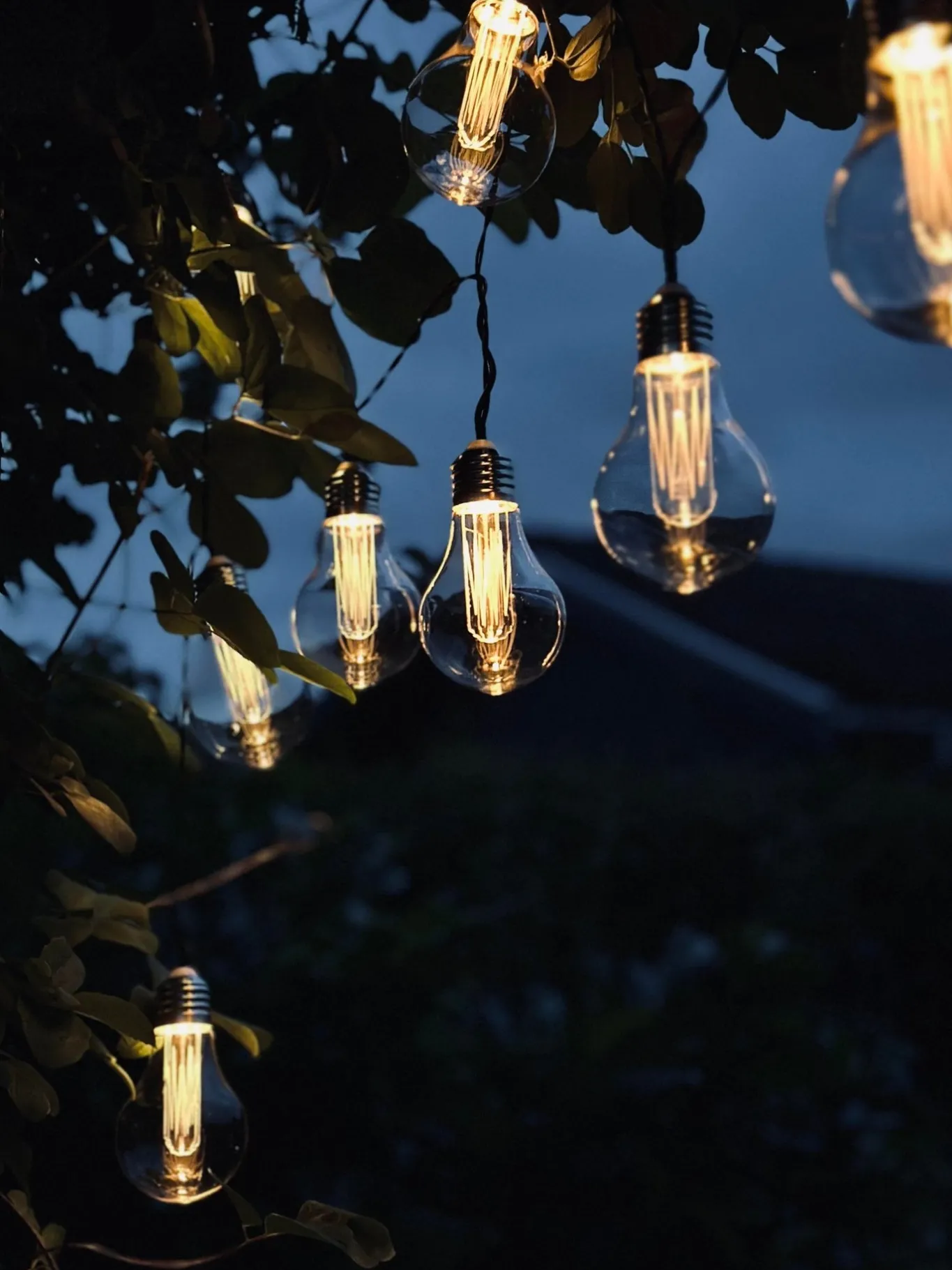 VIAMAJA Lys Og Led|Udendørs Led<LED Lyskæde med solceller - Udendørs med 10 pære