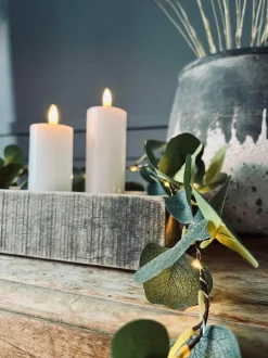 VIAMAJA Lys Og Led|Led Dekoration<Lyskæde med eucalyptus