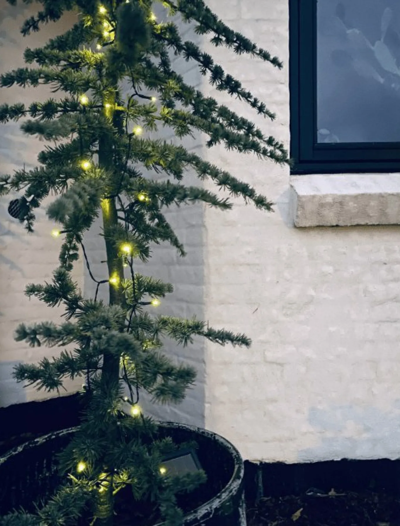 VIAMAJA Lys Og Led|Udendørs Led<Lyskæde med solceller - Ekstra kraftig med 100 led lys