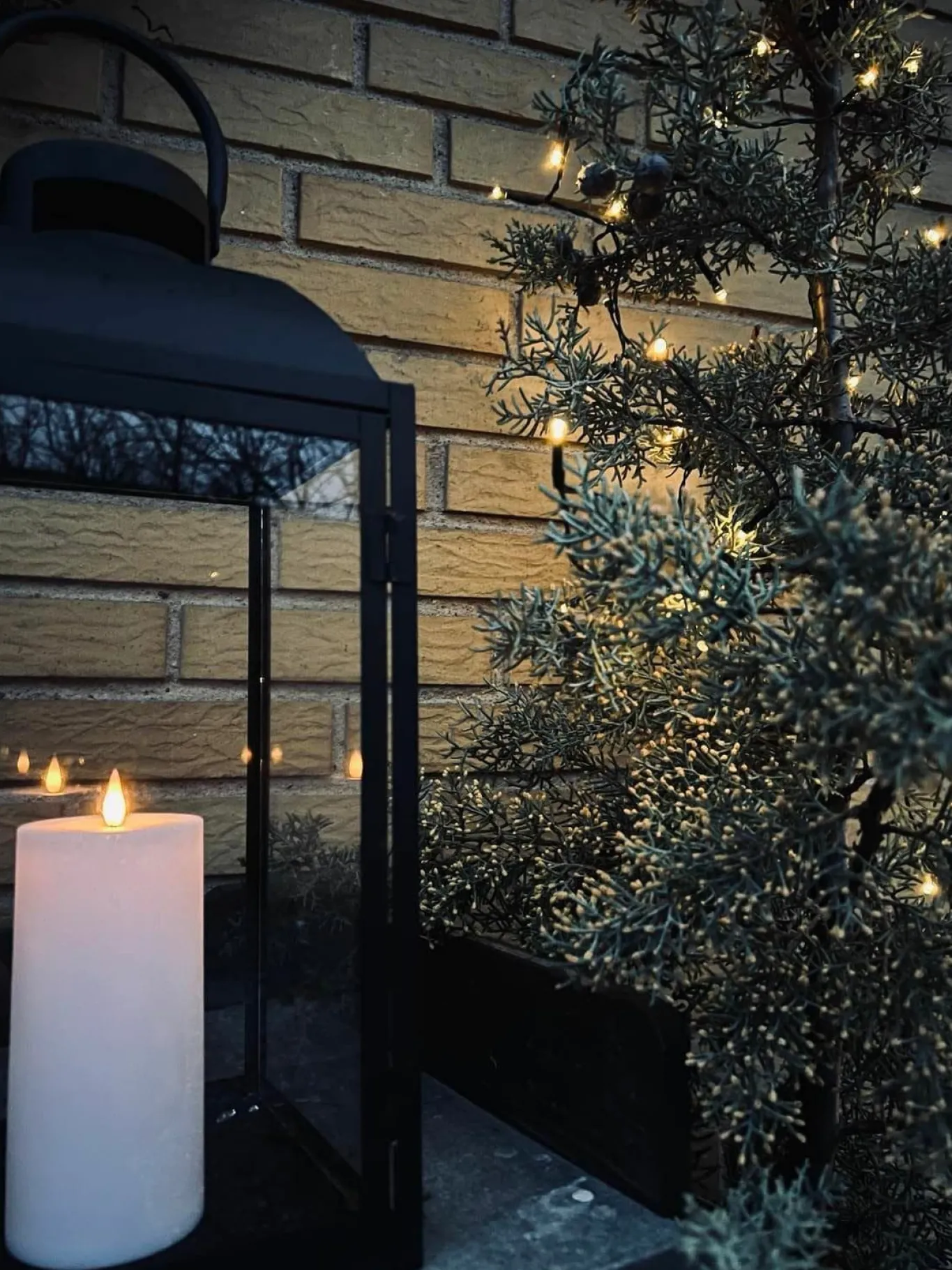 VIAMAJA Lys Og Led|Udendørs Led<Lyskæde med solceller - Ekstra kraftig med 100 led lys