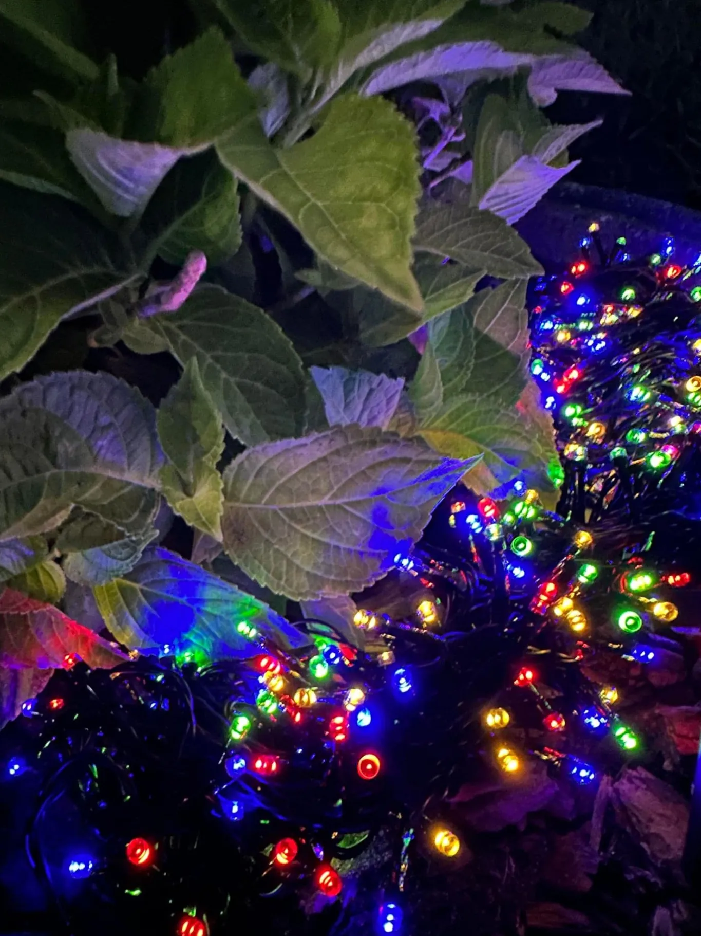 VIAMAJA Lys Og Led|Udendørs Led<Lyskæde med solceller PARTY - Ekstra kraftig med 400 led lys