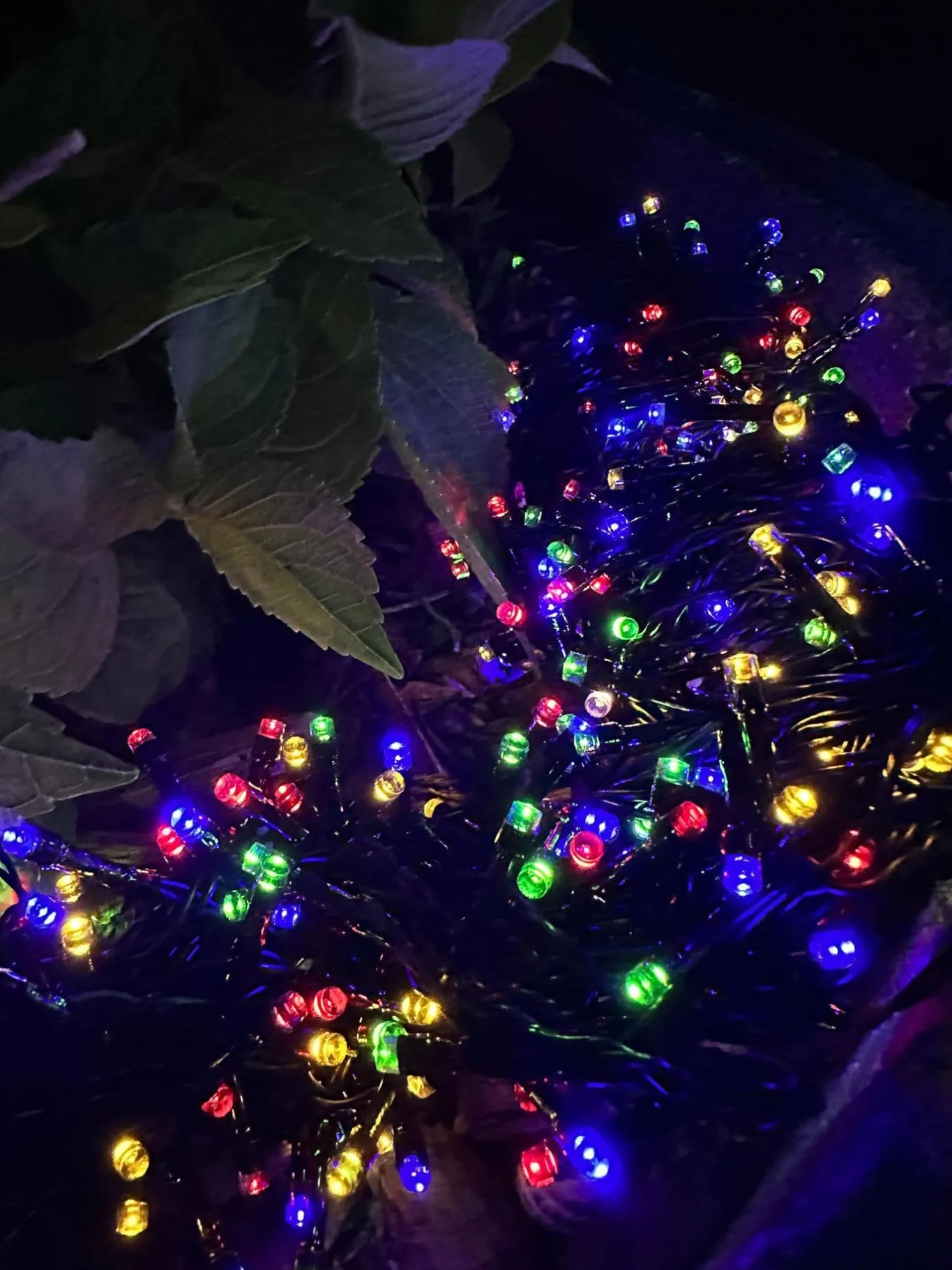 VIAMAJA Lys Og Led|Udendørs Led<Lyskæde med solceller PARTY - Ekstra kraftig med 400 led lys