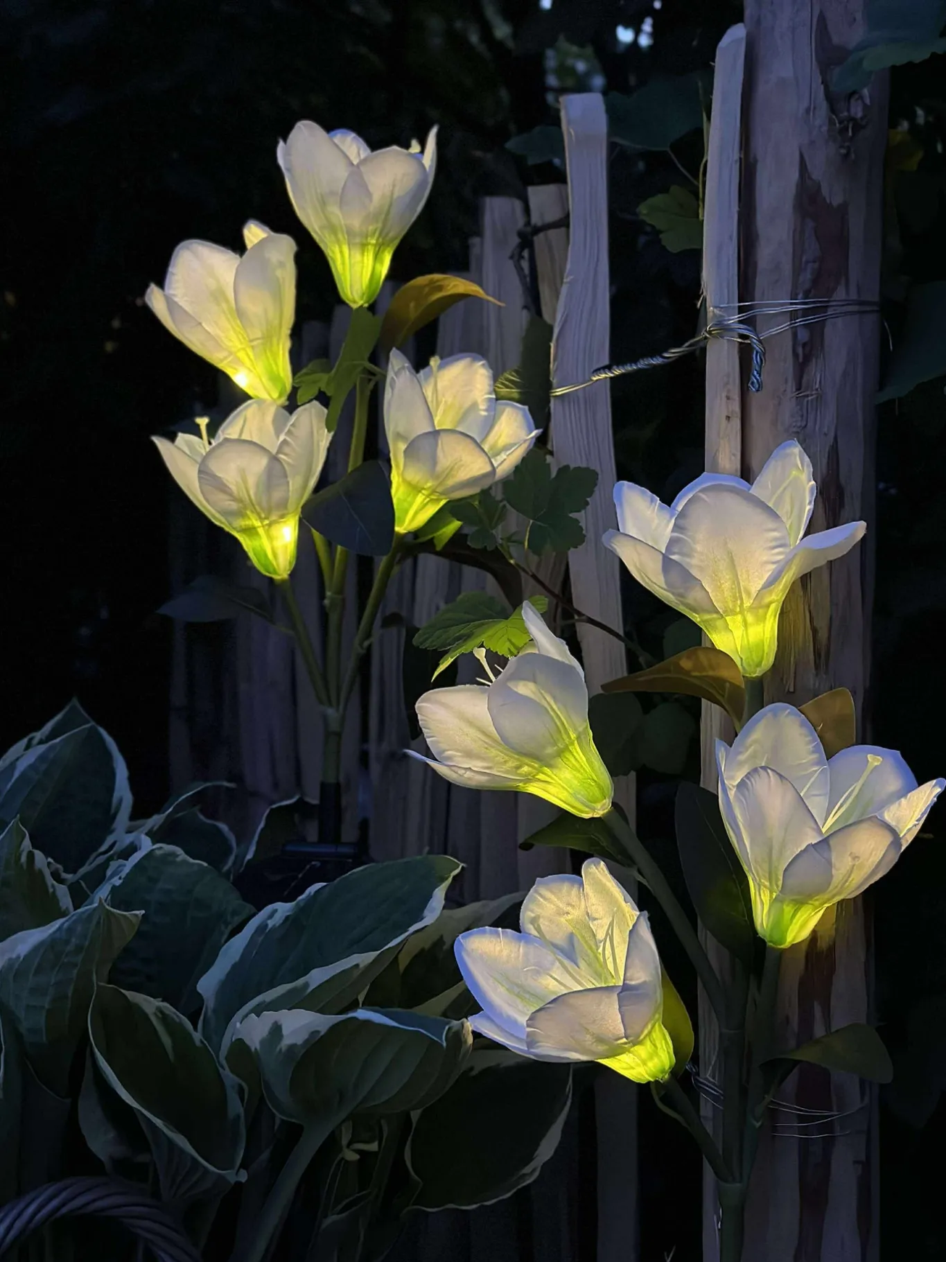 VIAMAJA Lys Og Led|Udendørs Led<Magnolia med solceller - Hvid
