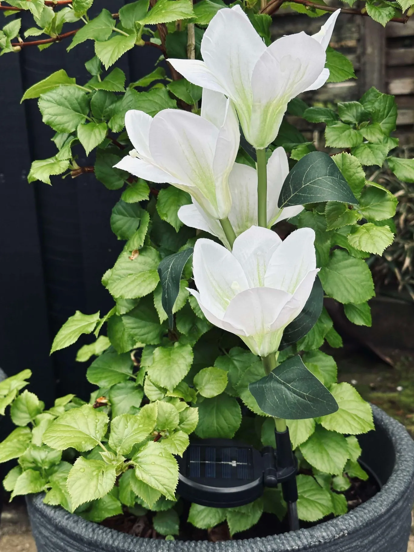VIAMAJA Lys Og Led|Udendørs Led<Magnolia med solceller - Hvid