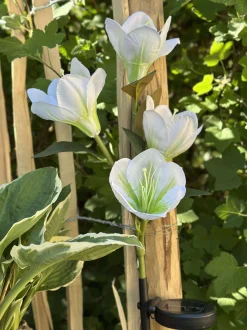 VIAMAJA Lys Og Led|Udendørs Led<Magnolia med solceller - Hvid