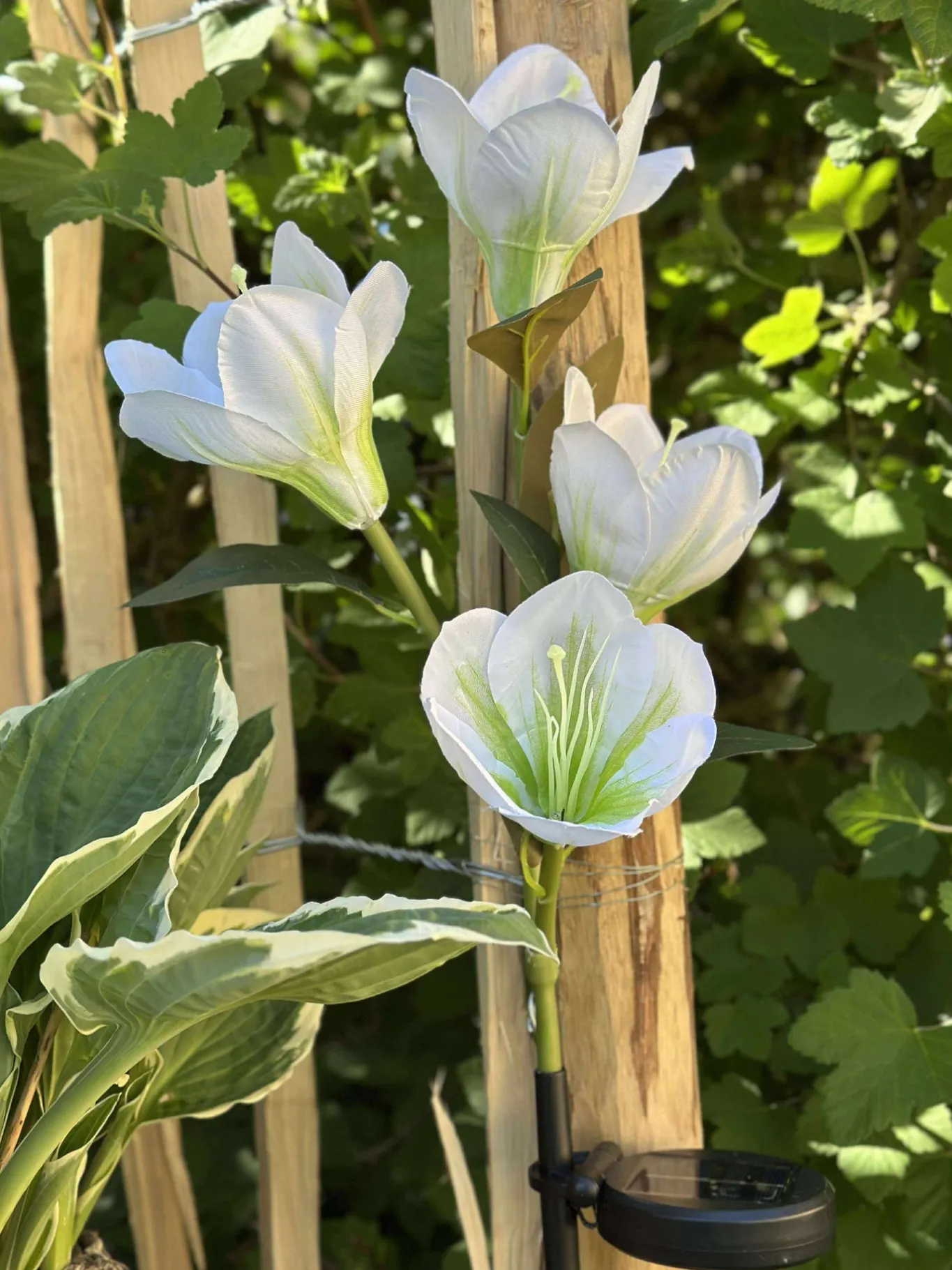 VIAMAJA Lys Og Led|Udendørs Led<Magnolia med solceller - Hvid