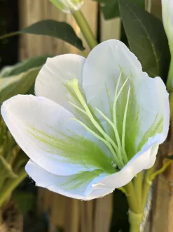 VIAMAJA Lys Og Led|Udendørs Led<Magnolia med solceller - Hvid