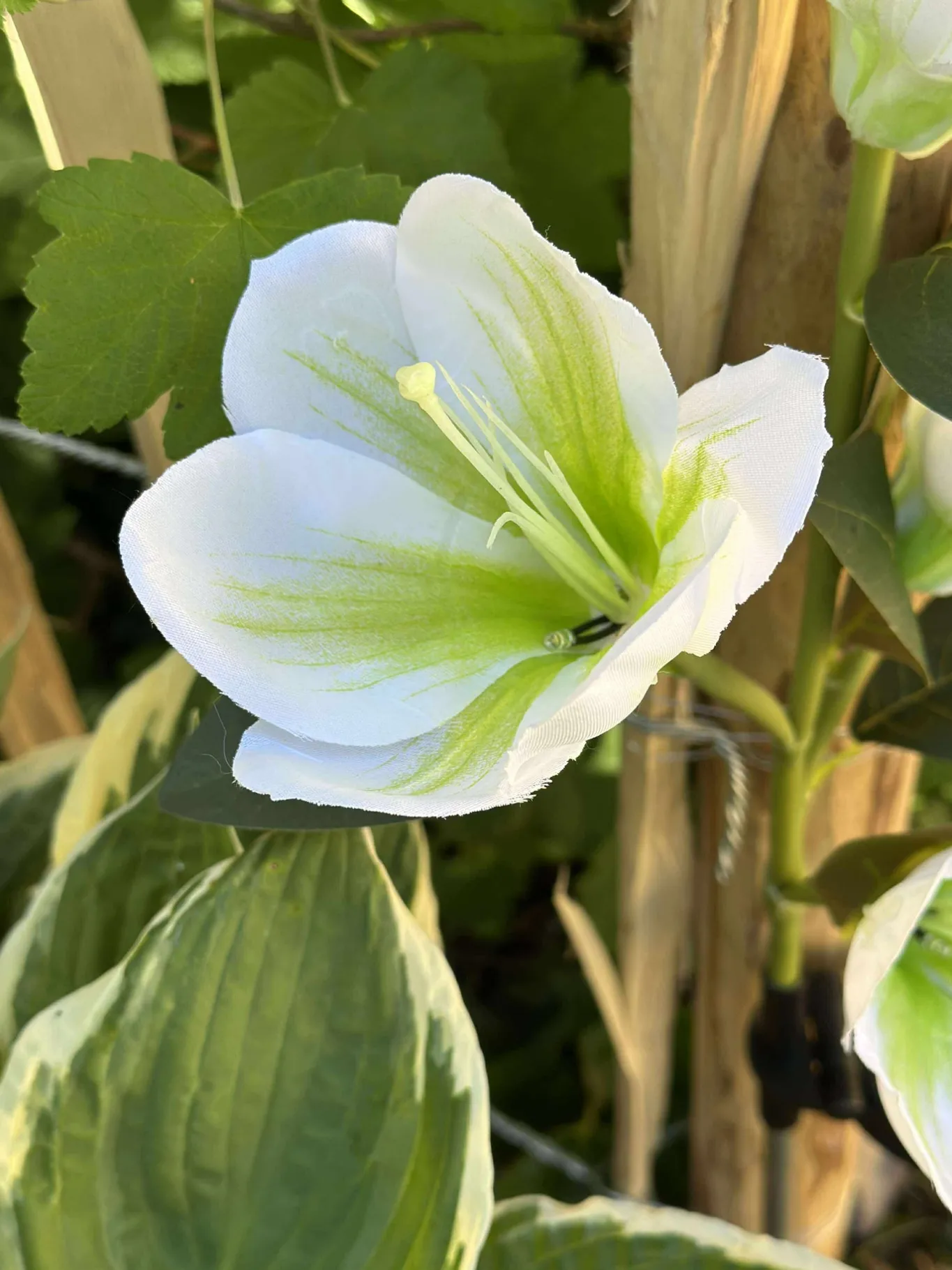 VIAMAJA Lys Og Led|Udendørs Led<Magnolia med solceller - Hvid