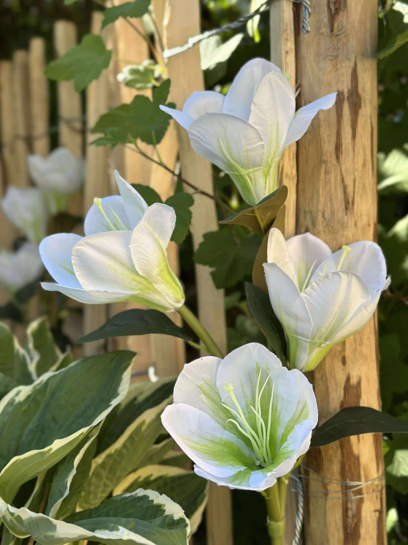 VIAMAJA Lys Og Led|Udendørs Led<Magnolia med solceller - Hvid