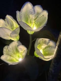 VIAMAJA Lys Og Led|Udendørs Led<Magnolia med solceller - Hvid