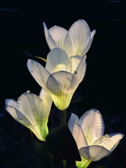 VIAMAJA Lys Og Led|Udendørs Led<Magnolia med solceller - Hvid