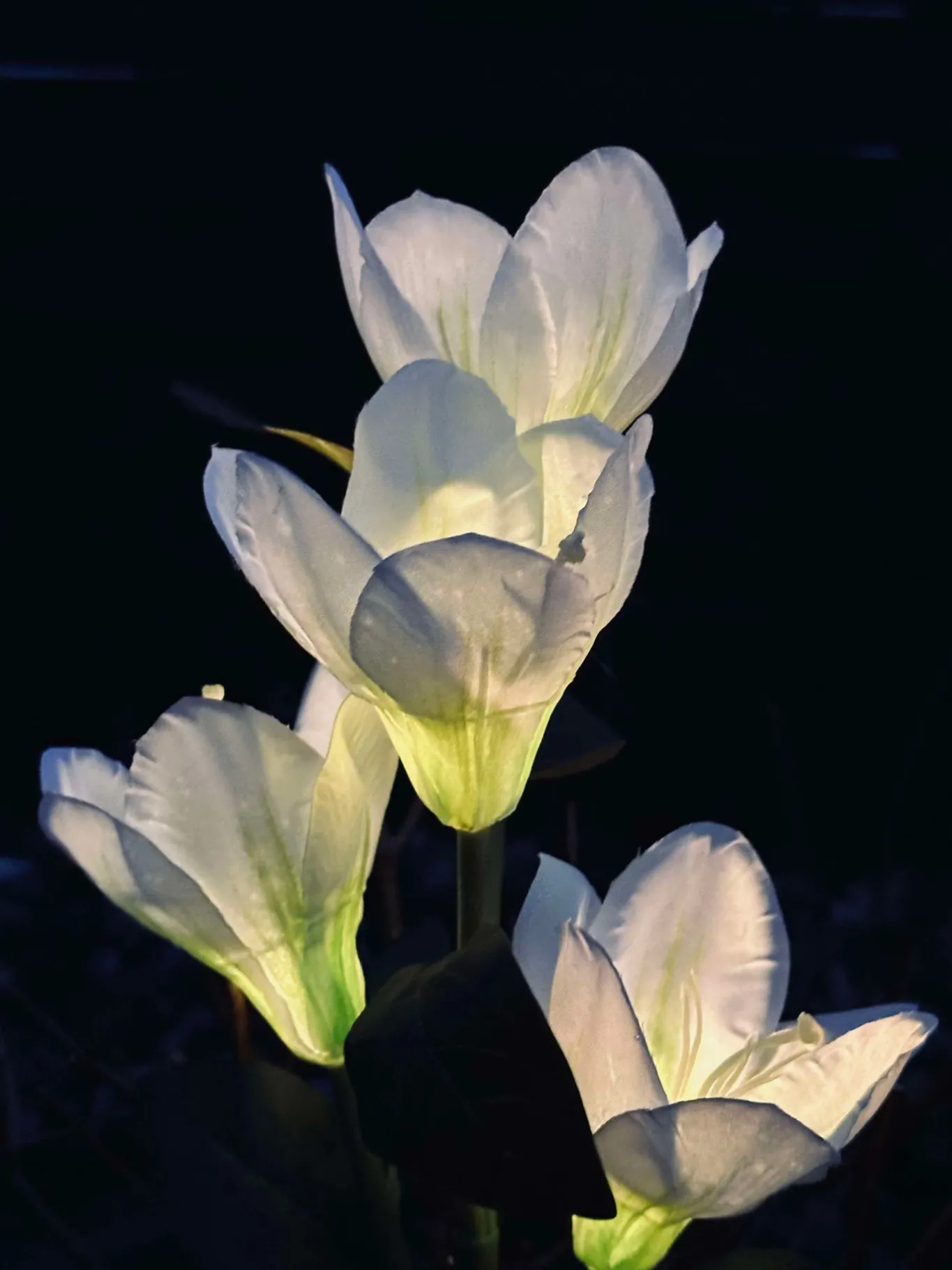VIAMAJA Lys Og Led|Udendørs Led<Magnolia med solceller - Hvid