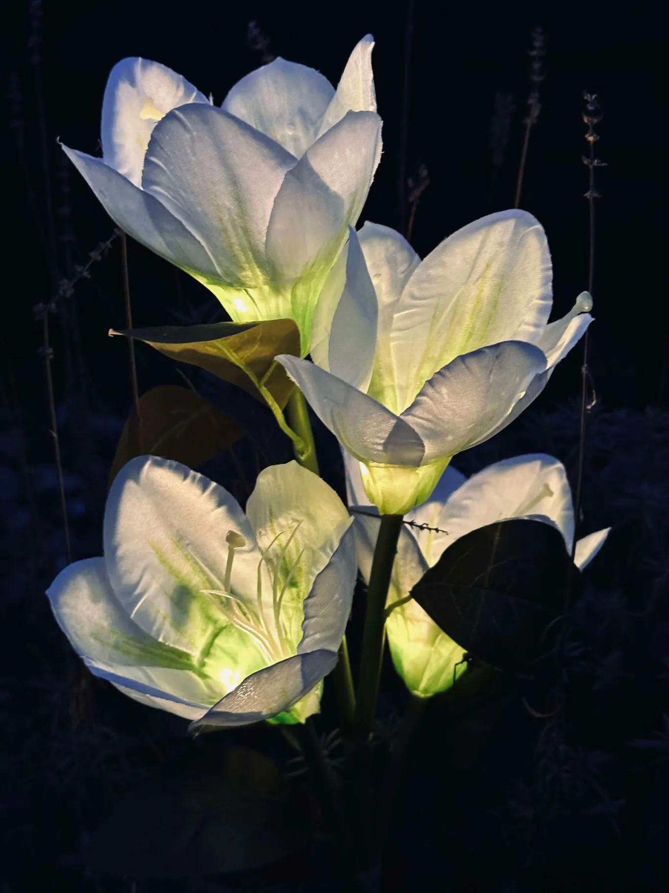 VIAMAJA Lys Og Led|Udendørs Led<Magnolia med solceller - Hvid