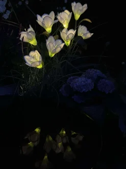 VIAMAJA Lys Og Led|Udendørs Led<Magnolia med solceller - Hvid