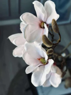 VIAMAJA Blomster<Magnoliagren pink - 92cm