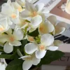 VIAMAJA Blomster<Mini hortensia i potte - flere farver