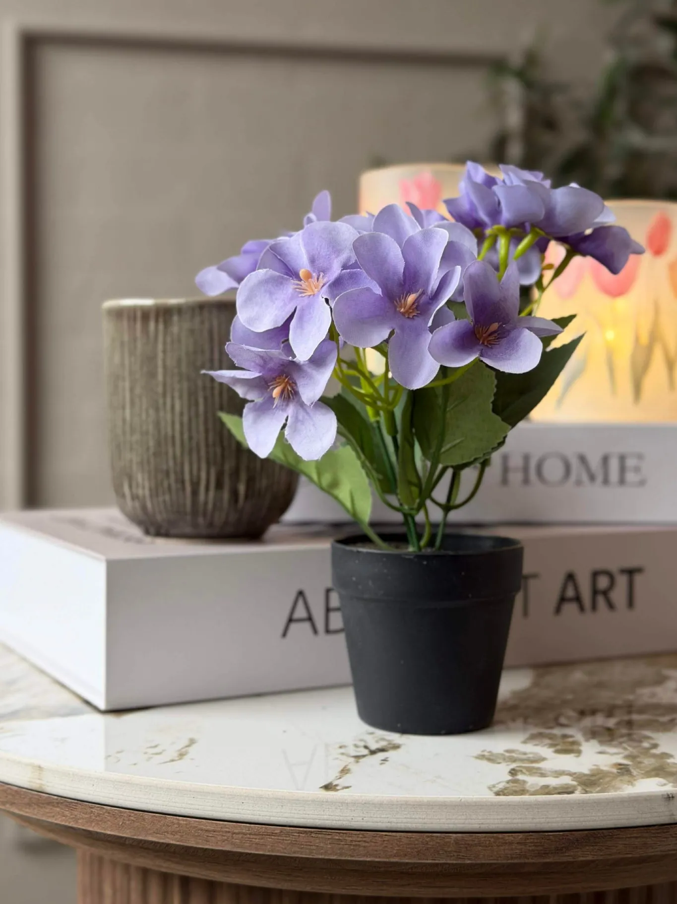 VIAMAJA Blomster<Mini hortensia i potte - flere farver