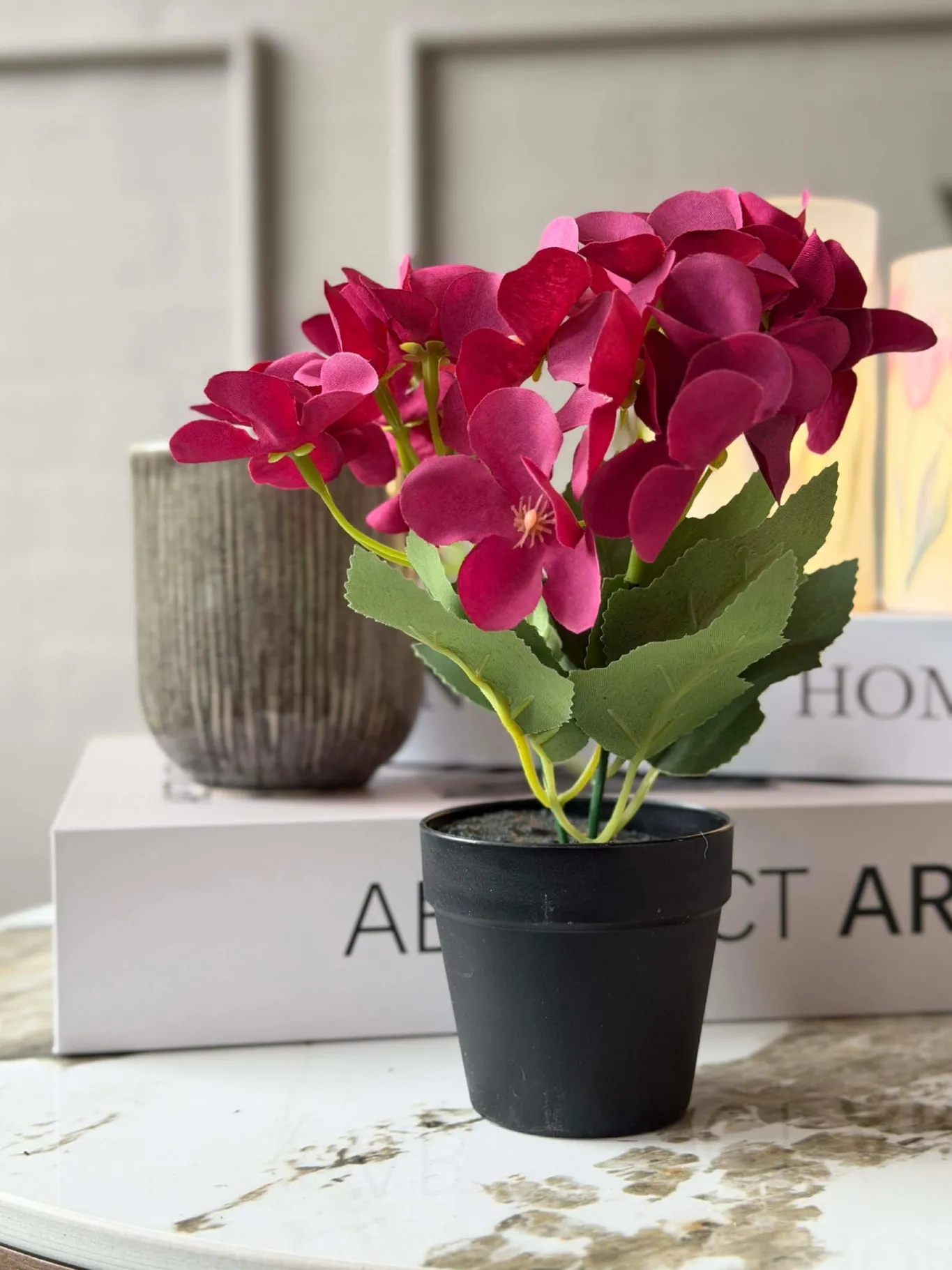 VIAMAJA Blomster<Mini hortensia i potte - flere farver