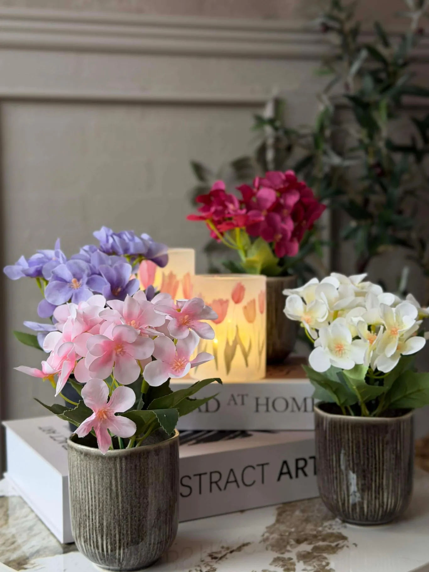 VIAMAJA Blomster<Mini hortensia i potte - flere farver