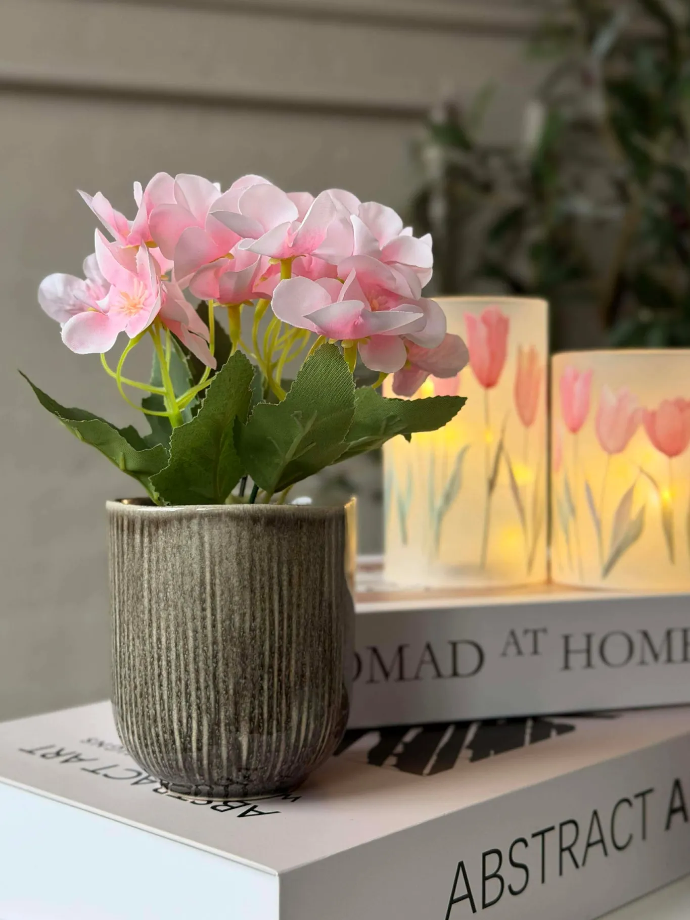 VIAMAJA Blomster<Mini hortensia i potte - flere farver