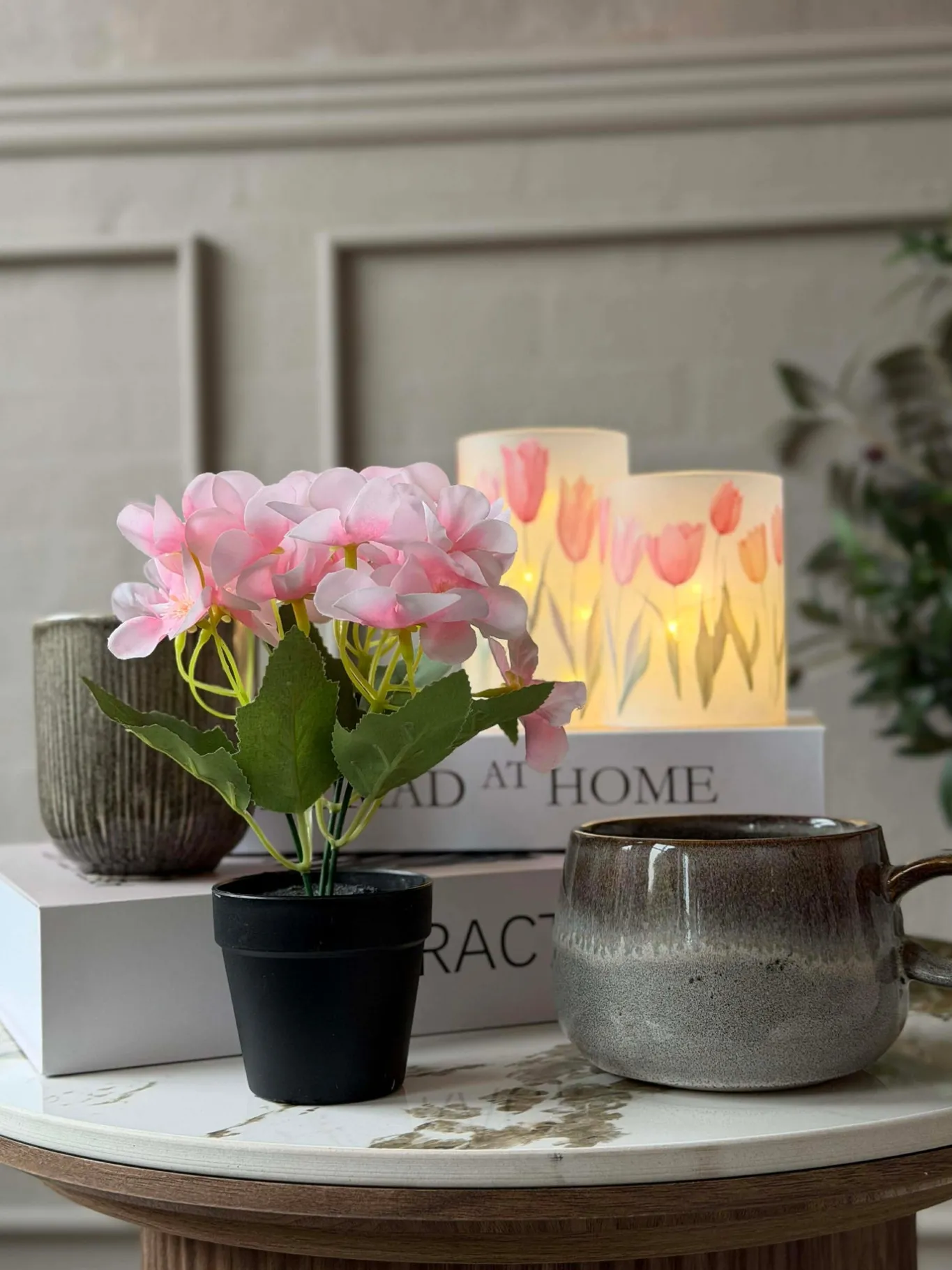 VIAMAJA Blomster<Mini hortensia i potte - flere farver