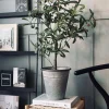 VIAMAJA Blomster<Oliventræ 85cm