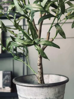 VIAMAJA Blomster<Oliventræ 85cm